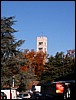 002 La Torre Guinigi... Okay siamo davvero a Lucca!.JPG